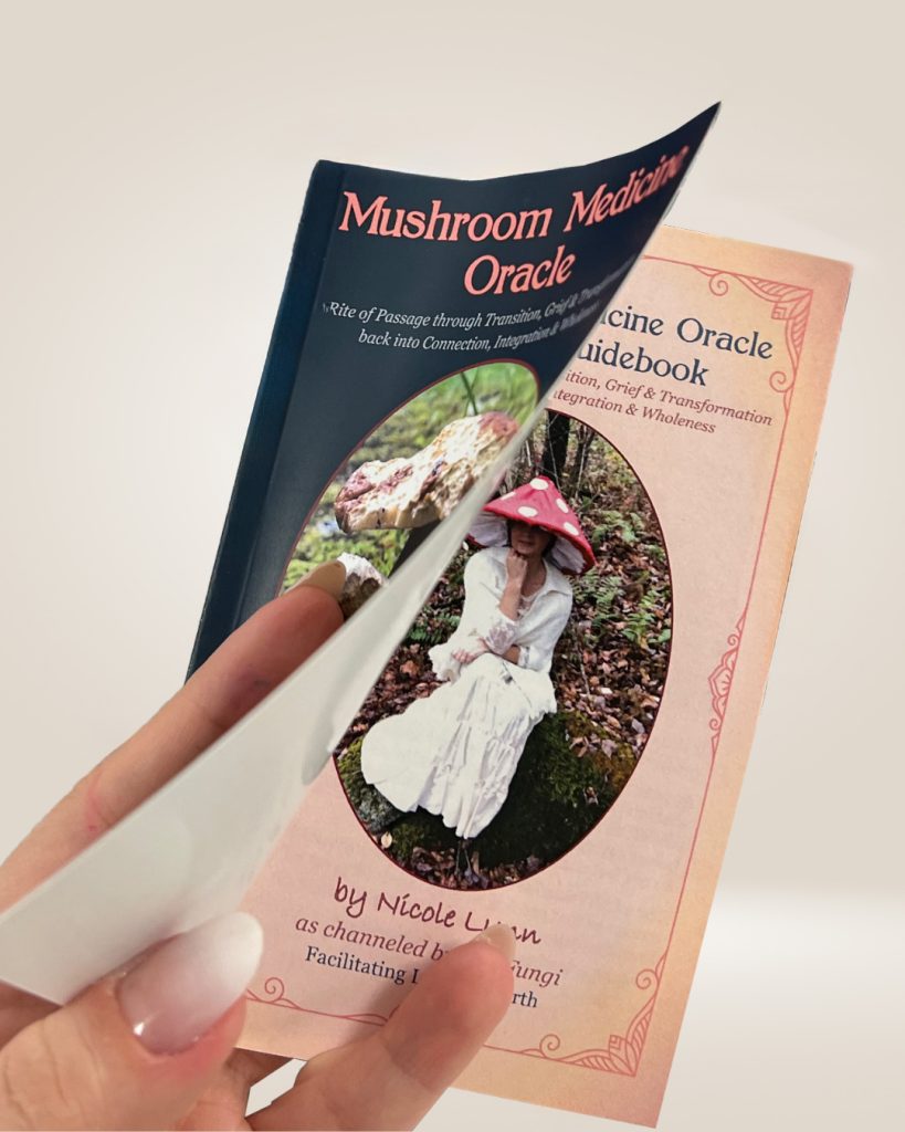 Mushroom guidebook